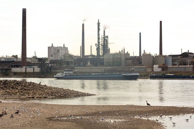 Erlebe Rioace: Exklusiver Bonus und Casino Slots aus Deutschland